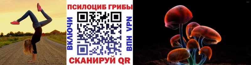 Псилоцибиновые грибы Psilocybe  Купить  Волосово 