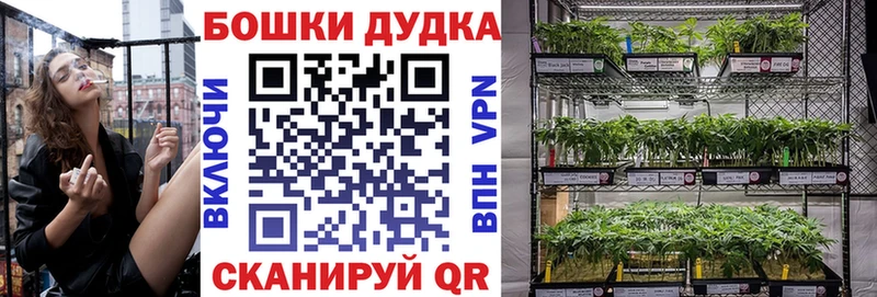 Купить закладки  Волосово  Конопля марихуана 
